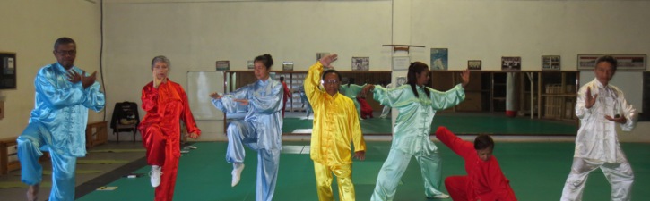 Centre Yang Chengfu Tai Chi Chuan Madagascar